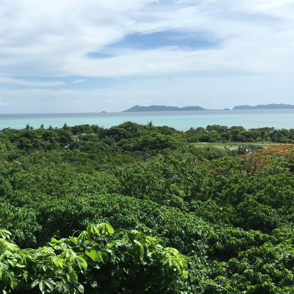 Meet your Posher, Adrianna